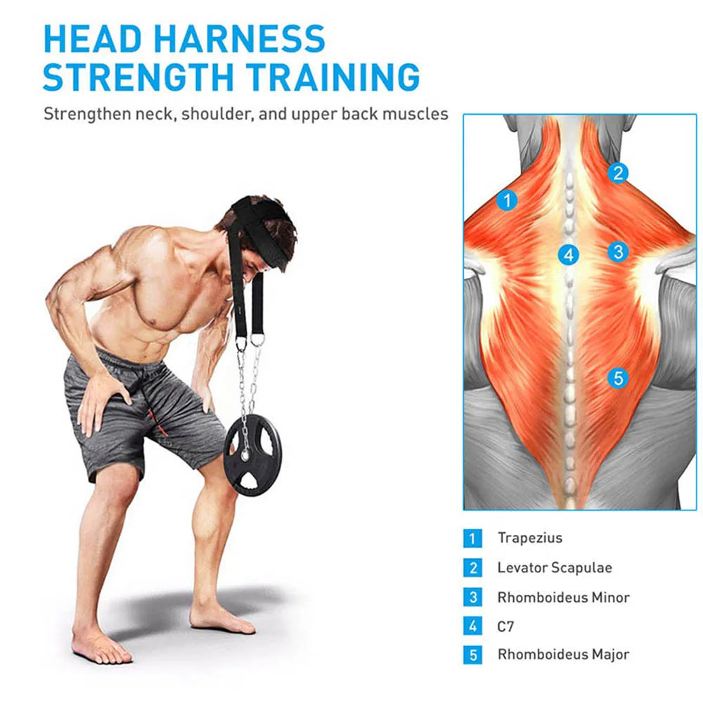 Advanced head neck trainer shoulder weight-bearing strength
